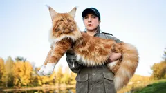 Honden versus katten: deze rassen kunnen als winnaar uit de eeuwige strijd komen