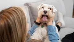 Je hond wacht tot je dit zegt: 8 woorden die je huisdier dolgelukkig maken
