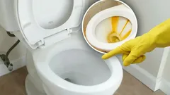 Kalkaanslag in de wc verdwijnt spoorloos: gooi deze tablet in het toilet die iedereen in huis heeft